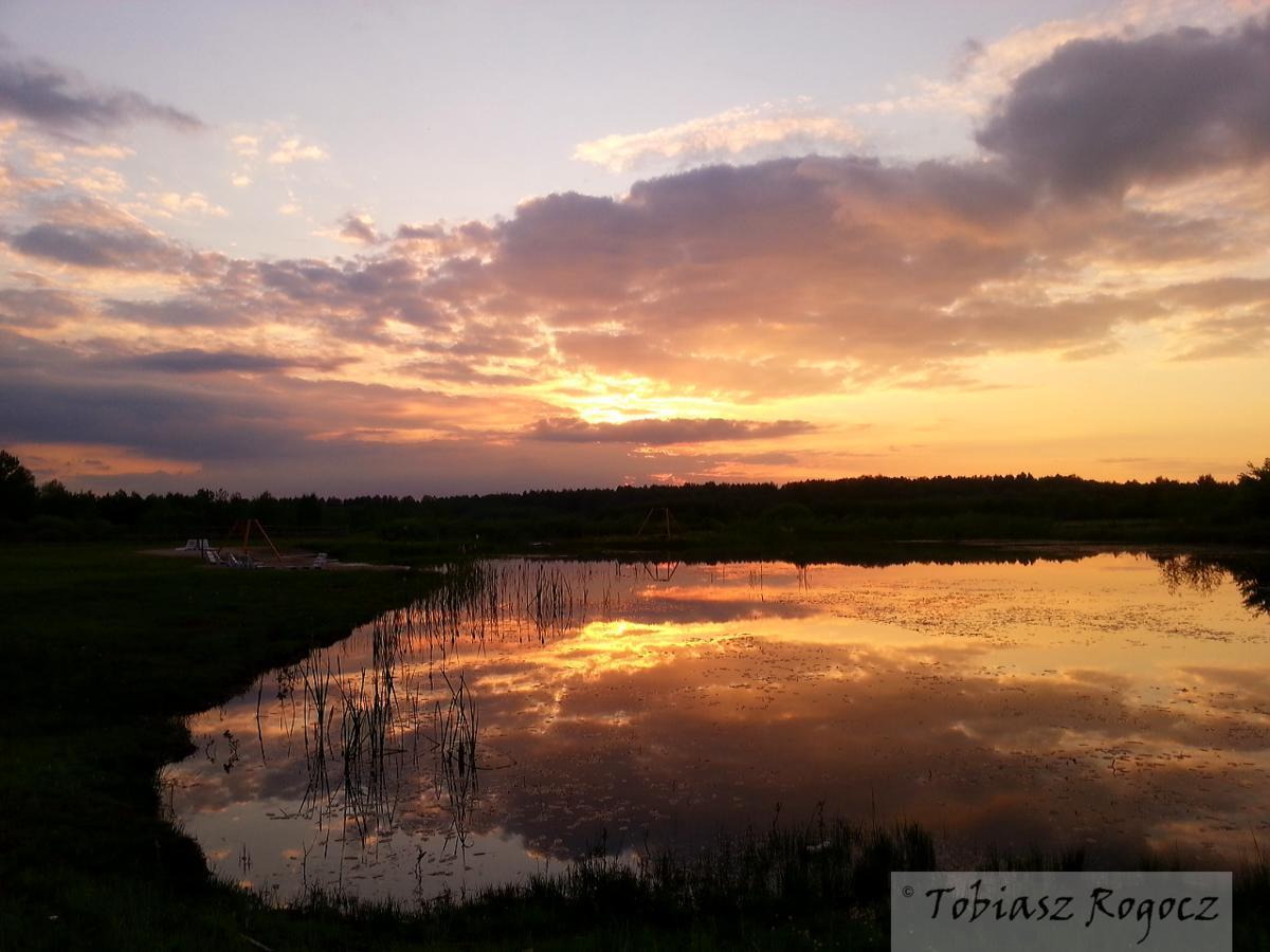 Obok Lasu Grebiszew ภายนอก รูปภาพ
